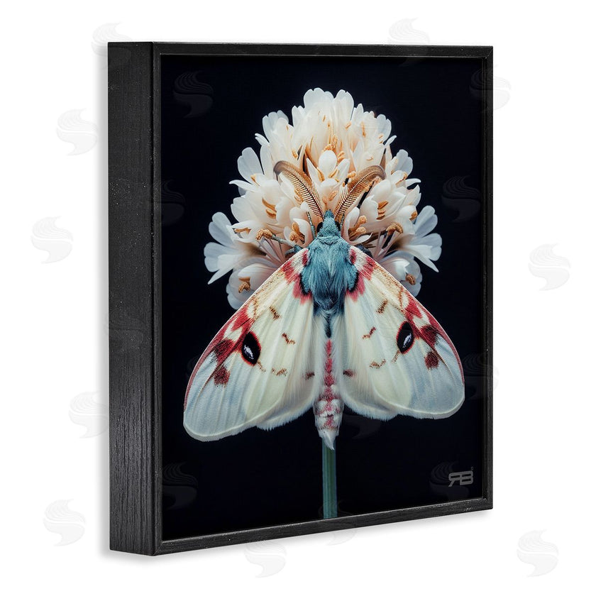 Roozbeh Bahramali | Moth and White Flowers