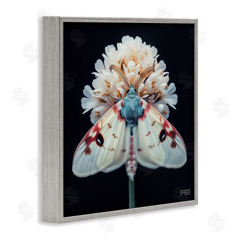 Roozbeh Bahramali | Moth and White Flowers