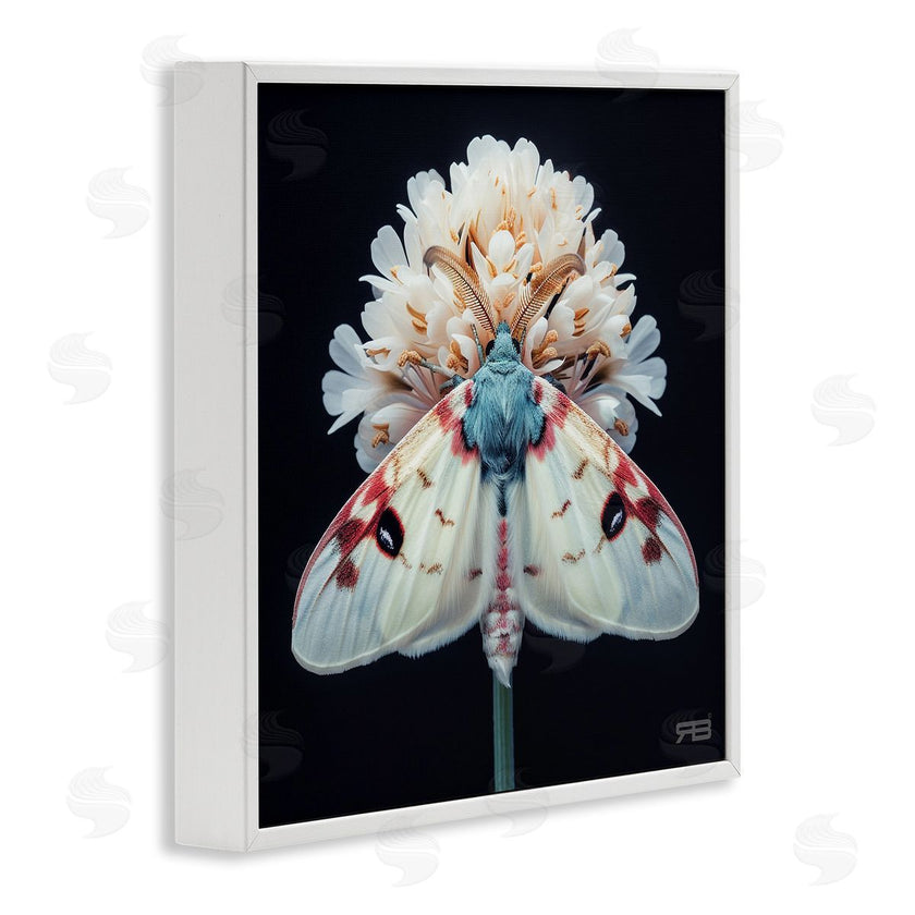 Roozbeh Bahramali | Moth and White Flowers