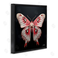 Roozbeh Bahramali | Red and White Moth
