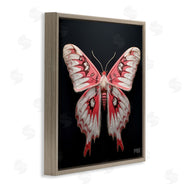 Roozbeh Bahramali | Red and White Moth
