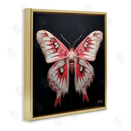 Roozbeh Bahramali | Red and White Moth