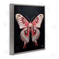 Roozbeh Bahramali | Red and White Moth