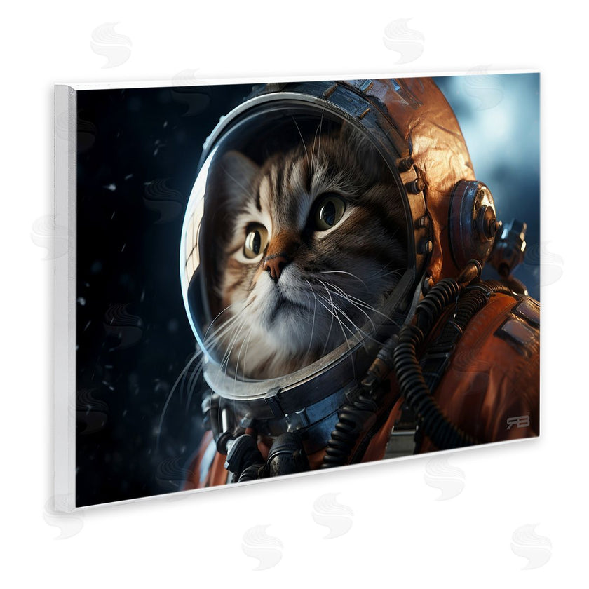 Roozbeh Bahramali | Astronaut Cat in Space