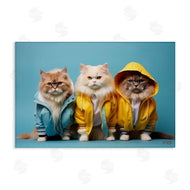 Roozbeh Bahramali | Funny Stylish Cats