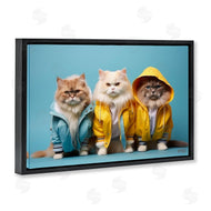 Roozbeh Bahramali | Funny Stylish Cats