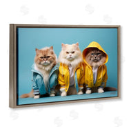 Roozbeh Bahramali | Funny Stylish Cats