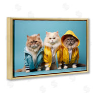 Roozbeh Bahramali | Funny Stylish Cats
