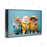 Roozbeh Bahramali | Funny Stylish Cats