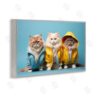 Roozbeh Bahramali | Funny Stylish Cats
