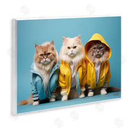 Roozbeh Bahramali | Funny Stylish Cats