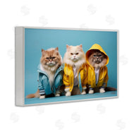 Roozbeh Bahramali | Funny Stylish Cats