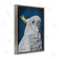 Connie Resch | Traditional Cockatoo Visage