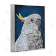 Connie Resch | Traditional Cockatoo Visage