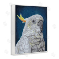 Connie Resch | Traditional Cockatoo Visage