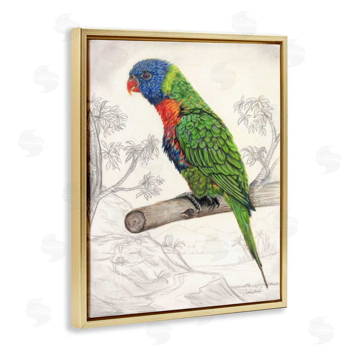Lorikeet Sketched Nature Gold Floating Frame Canvas Wall Art, Home Decor by Connie Resch
