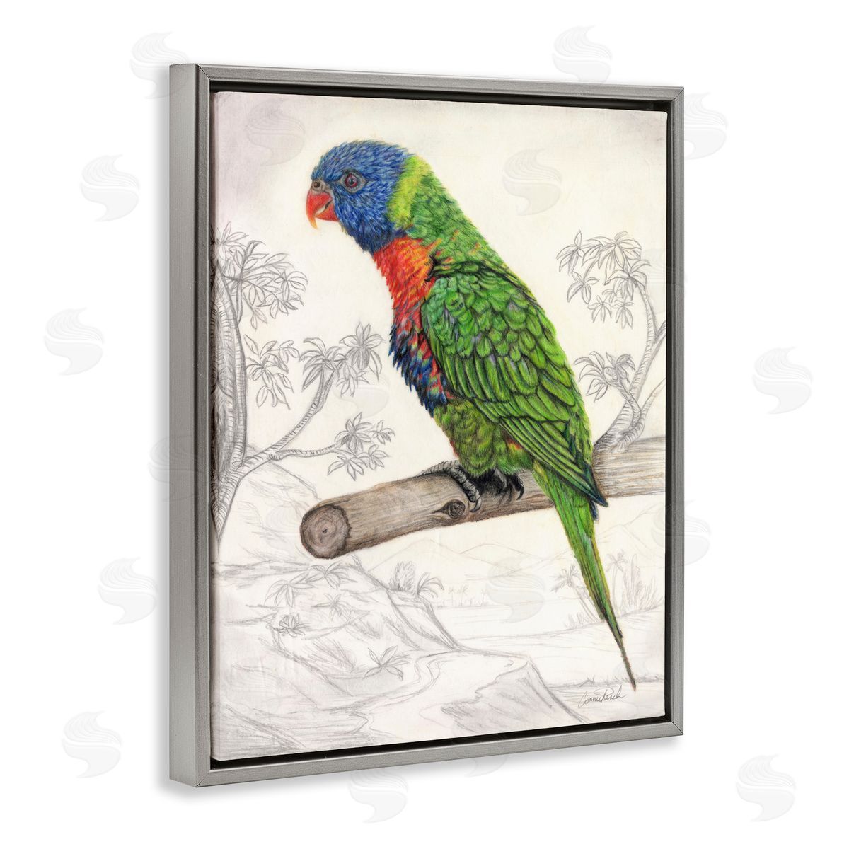Lorikeet Sketched Nature Grey Floating Frame Canvas Wall Art, Home Decor by Connie Resch