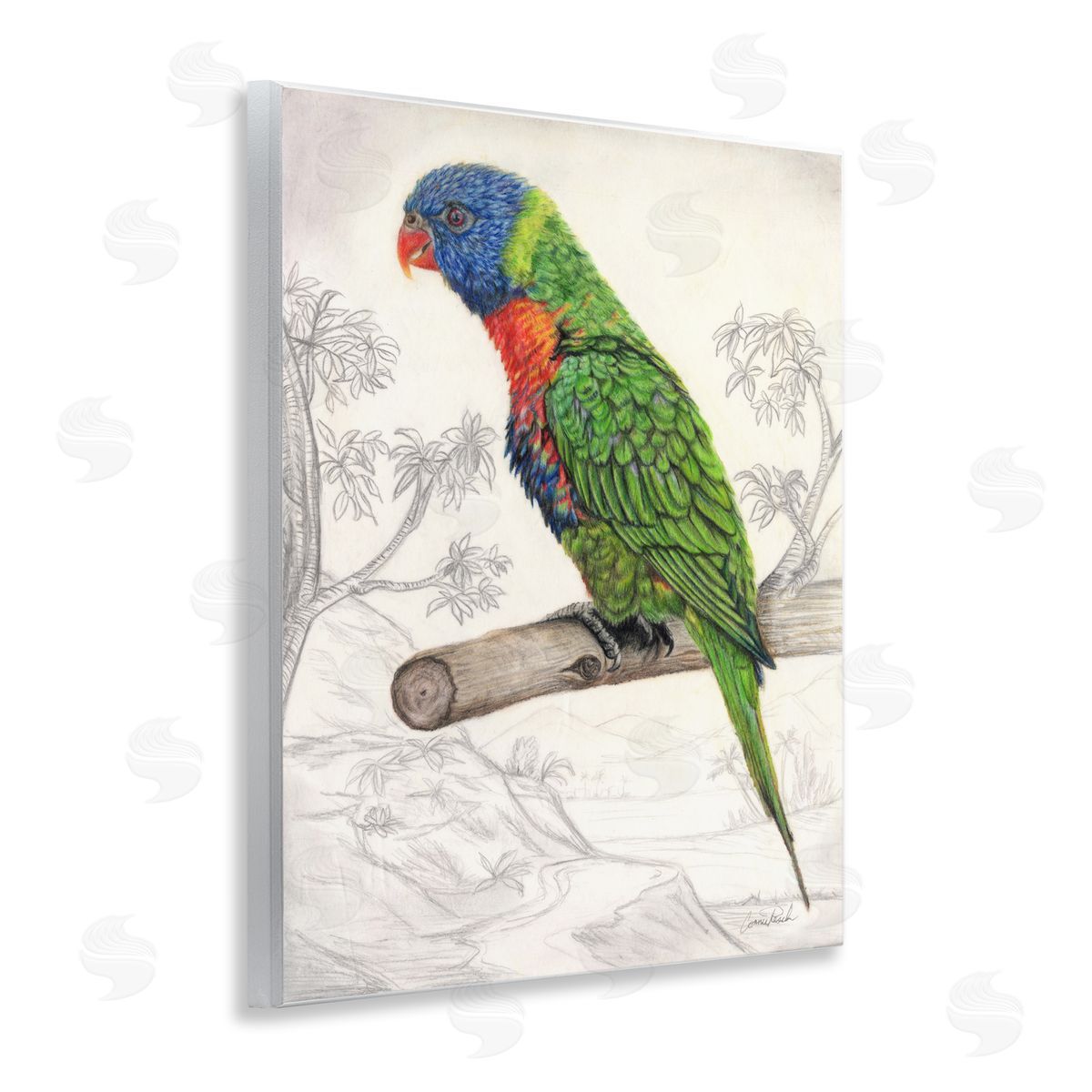 Lorikeet Sketched Nature Wood Plaque Wall Art, Home Decor by Connie Resch