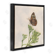 Connie Resch | Spring Offerings Butterfly