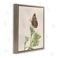 Connie Resch | Spring Offerings Butterfly