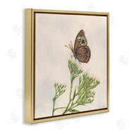 Connie Resch | Spring Offerings Butterfly