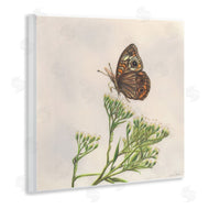 Connie Resch | Spring Offerings Butterfly