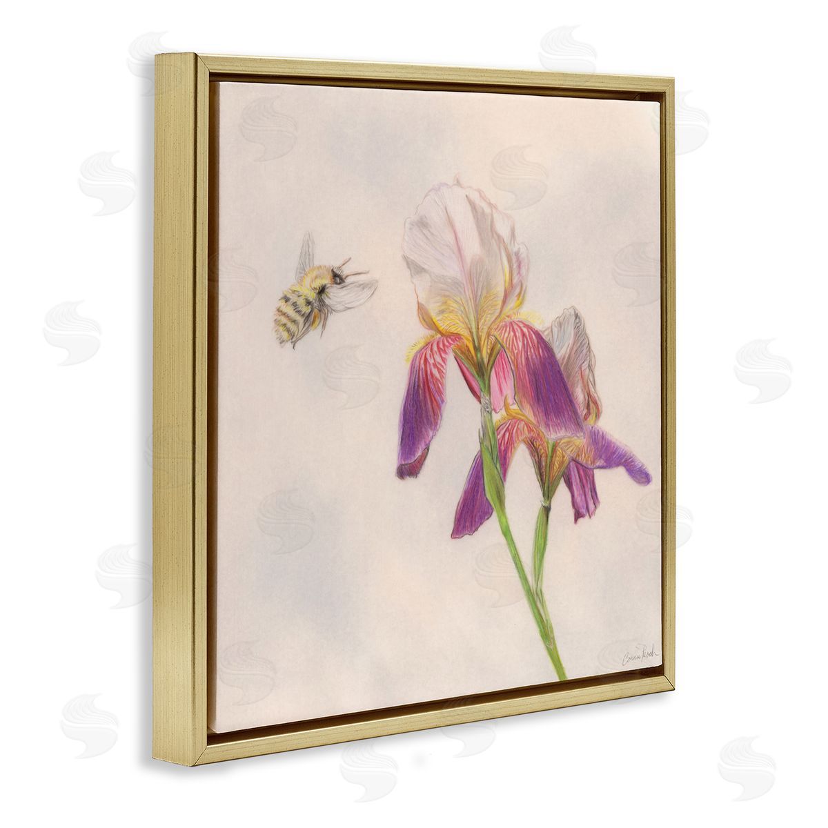 Spring Offerings Bee Gold Floating Frame Canvas Wall Art, Home Decor by Connie Resch