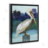 Stellar Design Studio | Tropical Pelican Perched