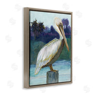 Stellar Design Studio | Tropical Pelican Perched