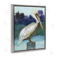Stellar Design Studio | Tropical Pelican Perched