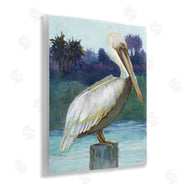 Stellar Design Studio | Tropical Pelican Perched