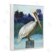 Stellar Design Studio | Tropical Pelican Perched