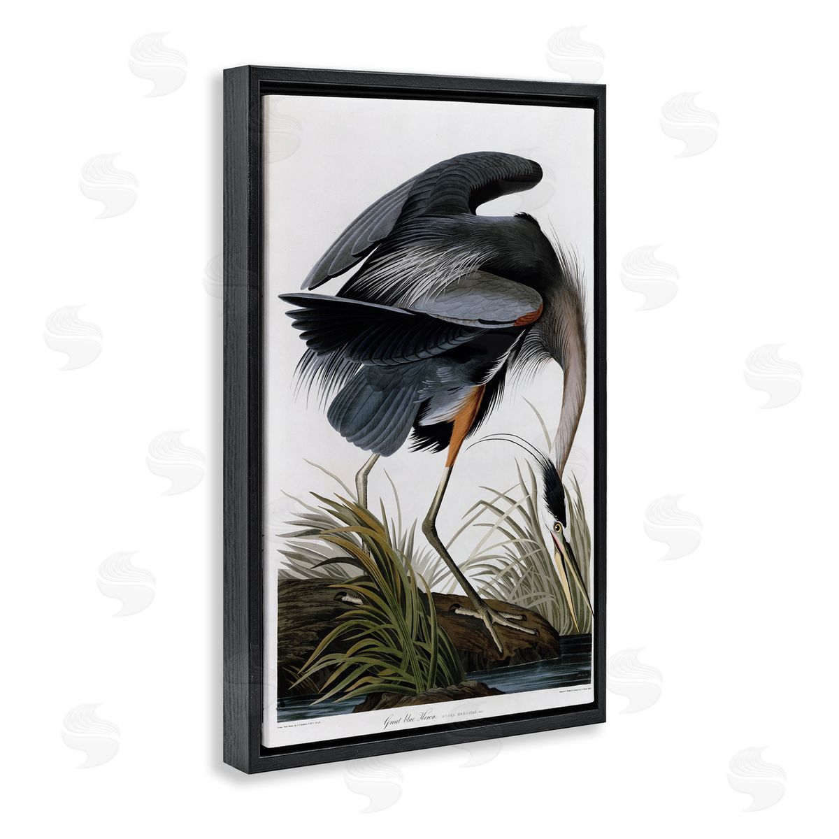 Classic Heron at Lake Black Floating Frame Canvas Wall Art, Home Decor by Stellar Design Studio