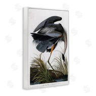 Stellar Design Studio | Classic Heron at Lake