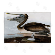 Stellar Design Studio | Classic Pelican at Beach