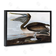 Stellar Design Studio | Classic Pelican at Beach