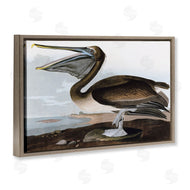 Stellar Design Studio | Classic Pelican at Beach