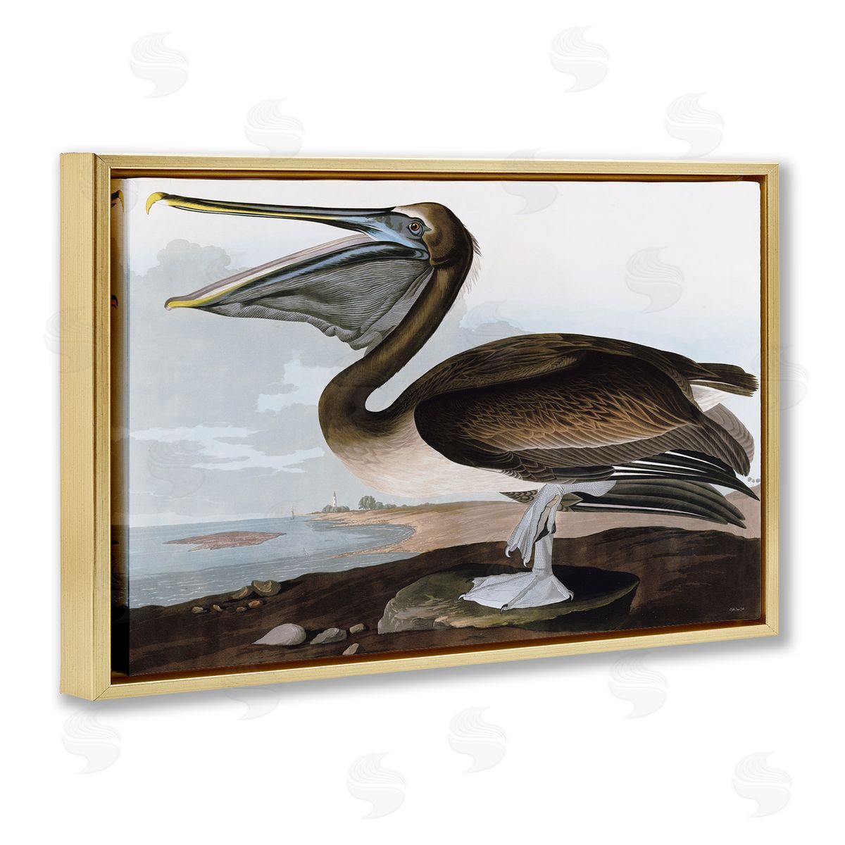 Classic Pelican at Beach Gold Floating Frame Canvas Wall Art, Home Decor by Stellar Design Studio