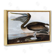 Stellar Design Studio | Classic Pelican at Beach