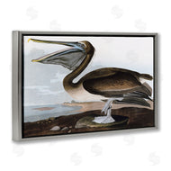 Stellar Design Studio | Classic Pelican at Beach