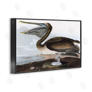Stellar Design Studio | Classic Pelican at Beach