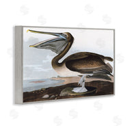 Stellar Design Studio | Classic Pelican at Beach