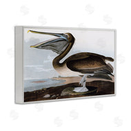 Stellar Design Studio | Classic Pelican at Beach