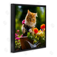 Sean Parnell | Spring Gardener Kitten