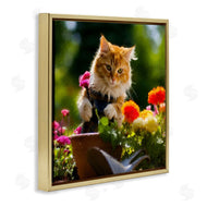 Sean Parnell | Spring Gardener Kitten