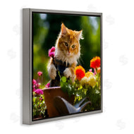 Sean Parnell | Spring Gardener Kitten