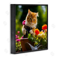 Sean Parnell | Spring Gardener Kitten
