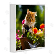 Sean Parnell | Spring Gardener Kitten