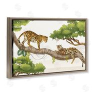 Lucca Shappard | Leopards Prowling on Branch