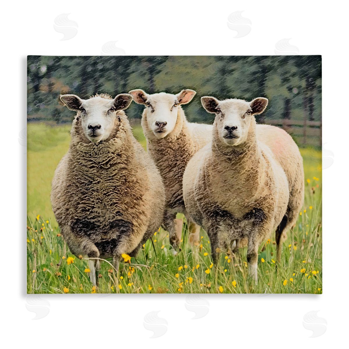 Sheep Grazing in Grass Canvas Wall Art, Home Decor by Sundance Group, LLC.
